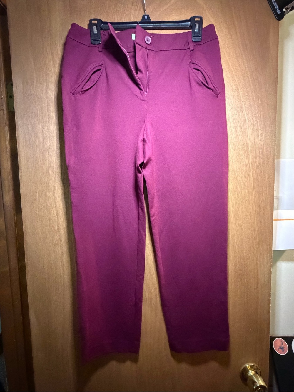 Bar III Women's Maroon Stretch Pull-On Pants size 10